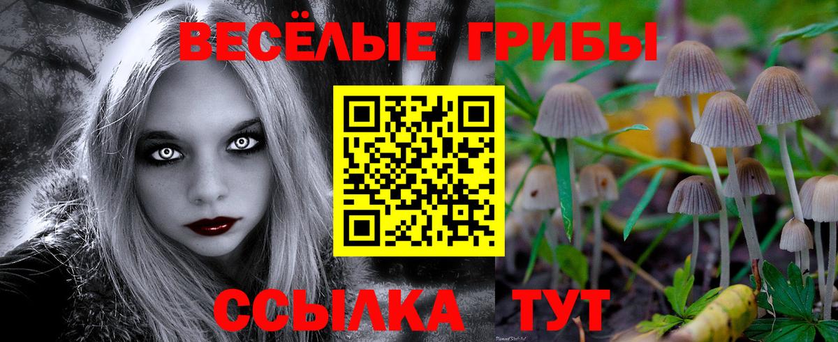 Когалым  Псилоцибиновые грибы ЛСД  Вход с VPN 