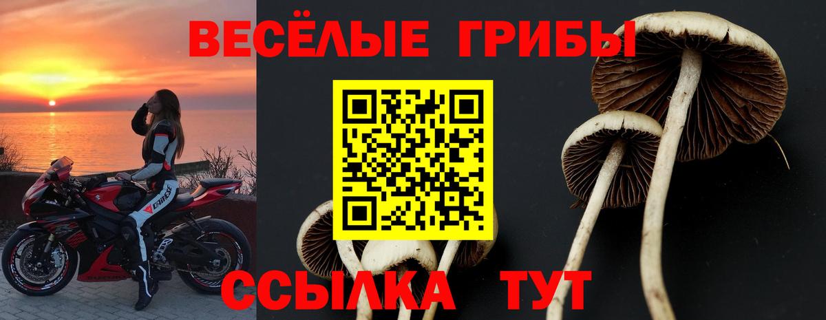 Галлюциногенные грибы MAGIC MUSHROOMS Когалым